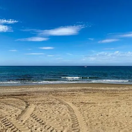 Nikkibeachfront ماربيا