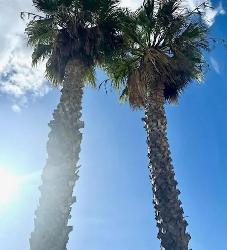 Nikkibeachfront マルベーリャ